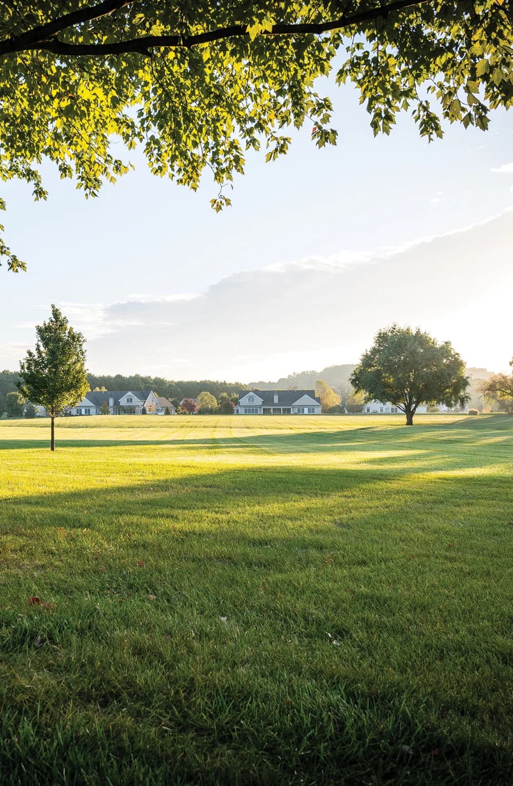 Landscape with houses in the distance