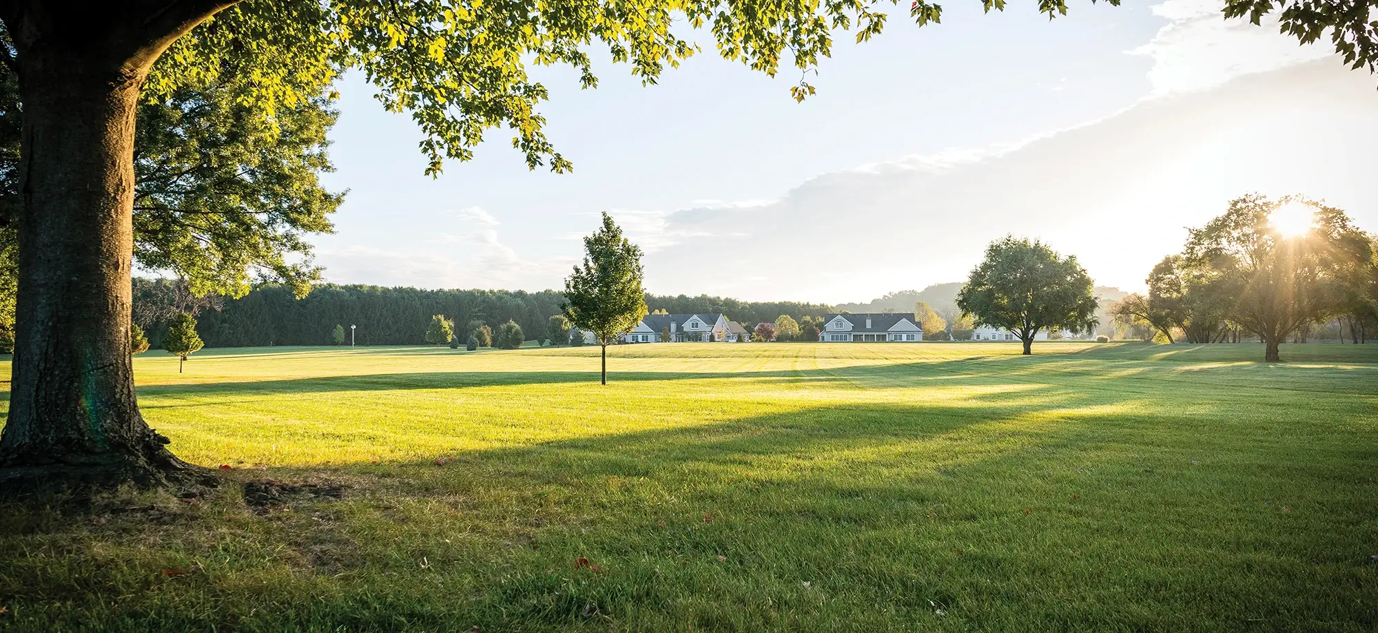 Landscape with houses in distance
