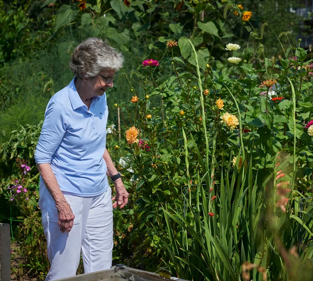 Woman walking through garden next to flowers