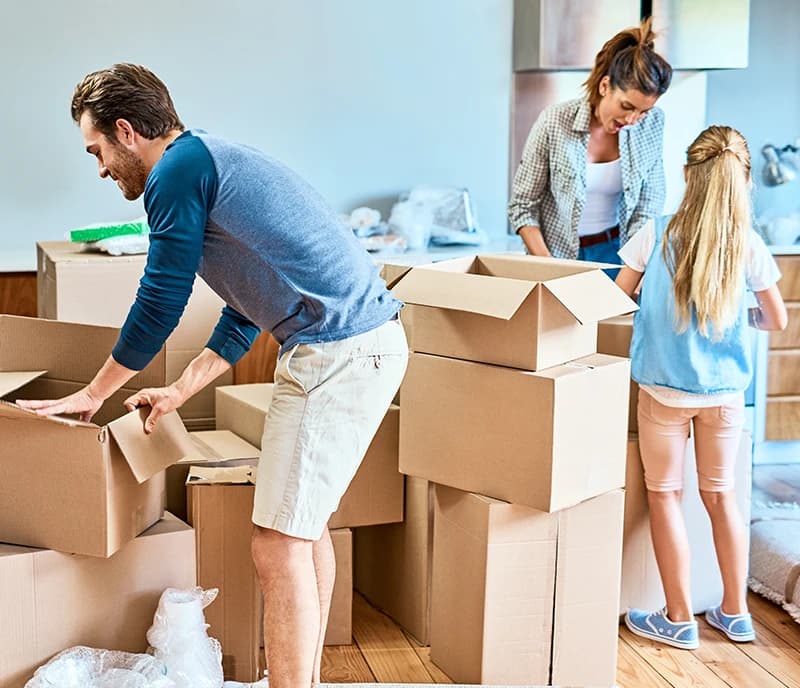 Family packing boxes