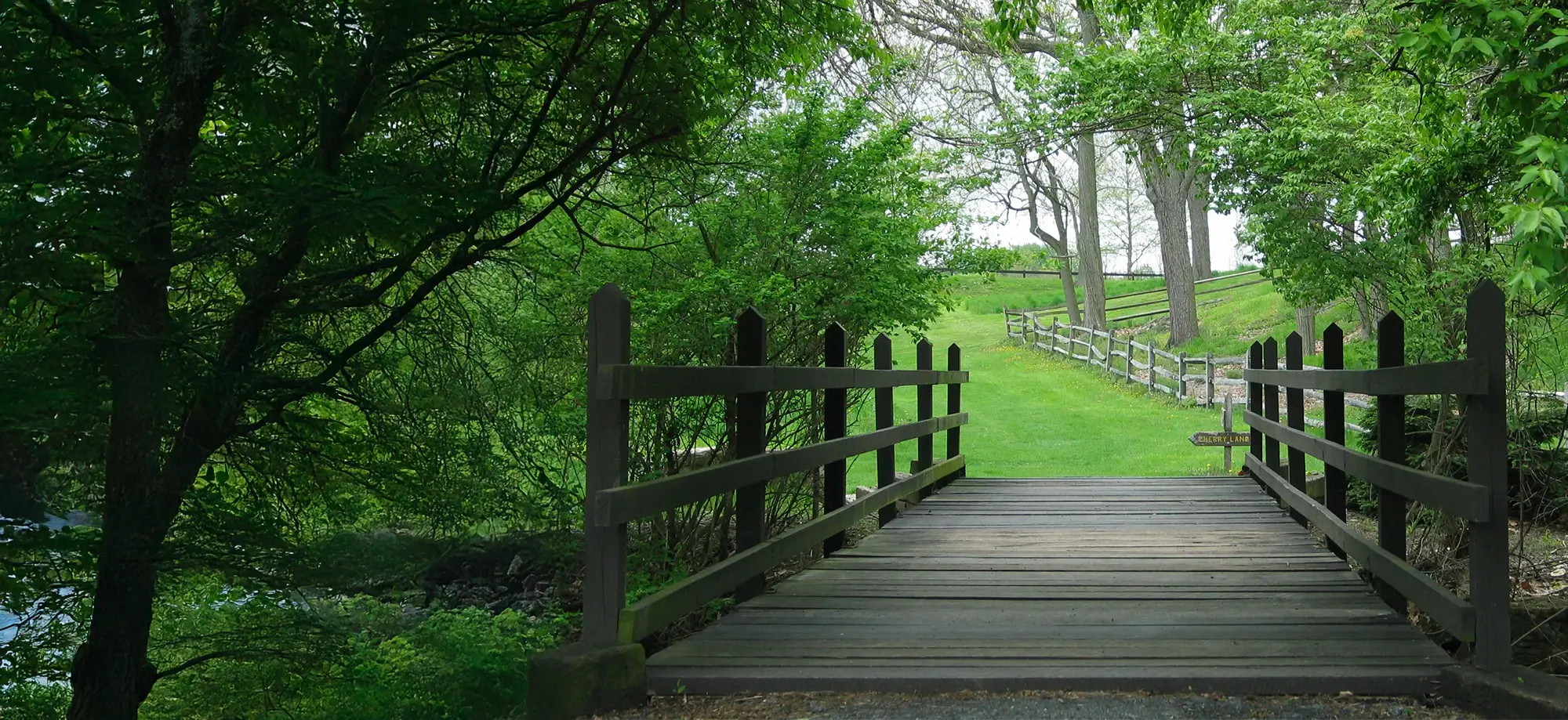 Wooden bridge leading to walking path